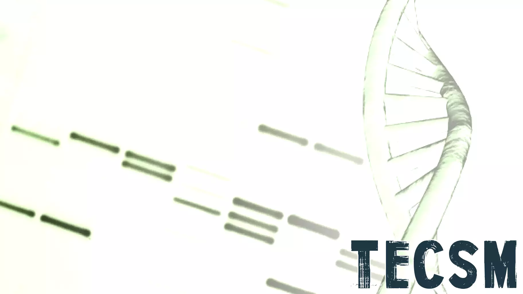 Breakthrough DNA Mapping Technology Reveals Insights into Rare Genetic Diseases