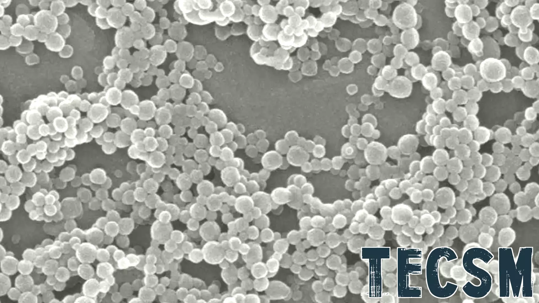 Breakthrough in Acoustofluidic Technology for Fast Detection of Small Extracellular Vesicles