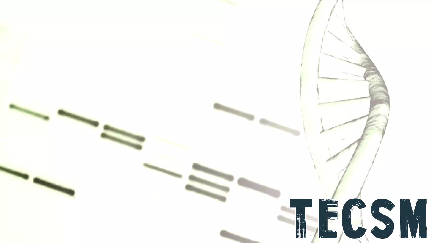 Breakthroughs in DNA Storage with Epi-Bit Technology