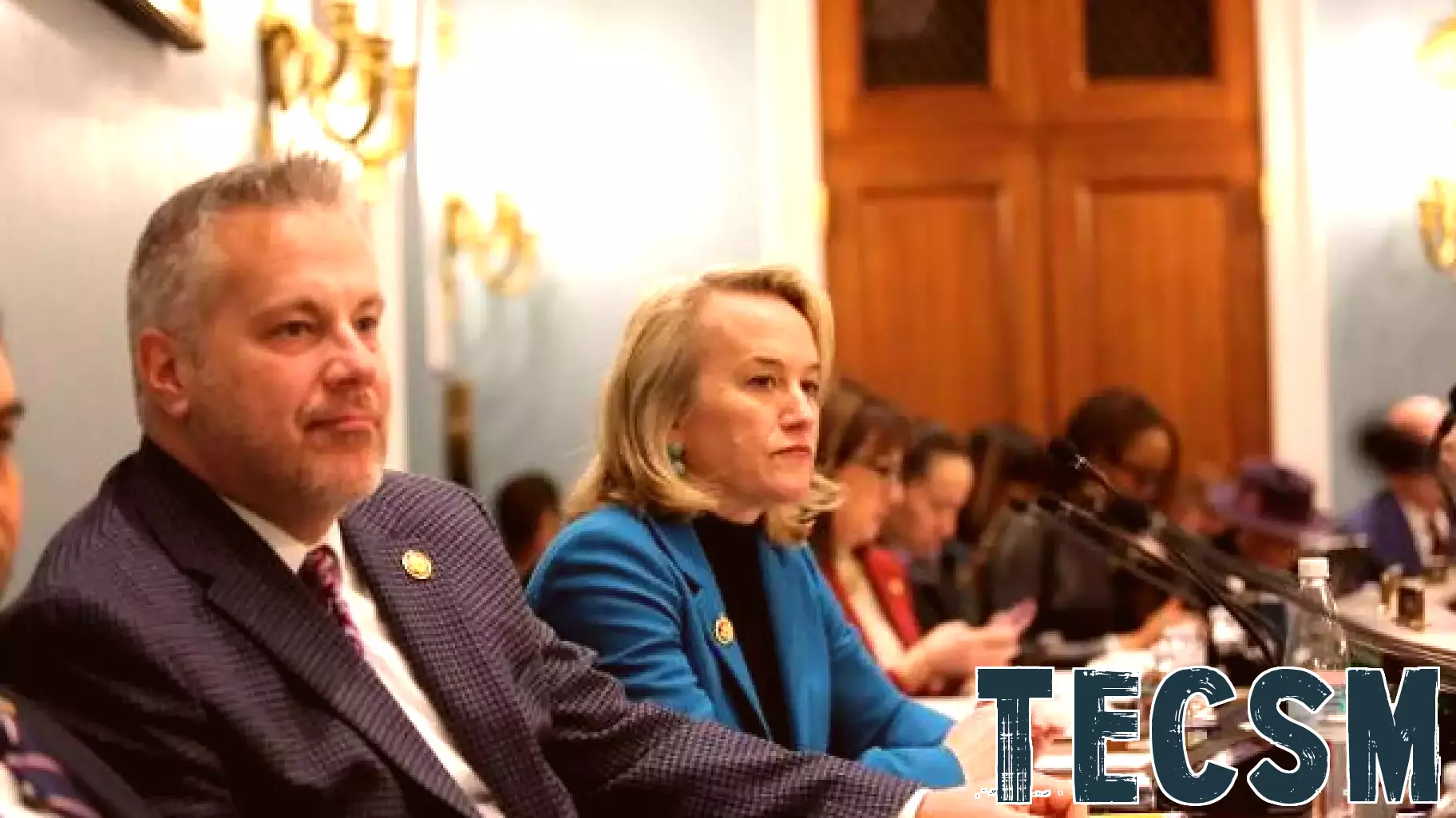 Congresswoman Budzinski Leads First Hearing as Ranking Member of Veterans’ Affairs Technology Modernization Subcommittee
