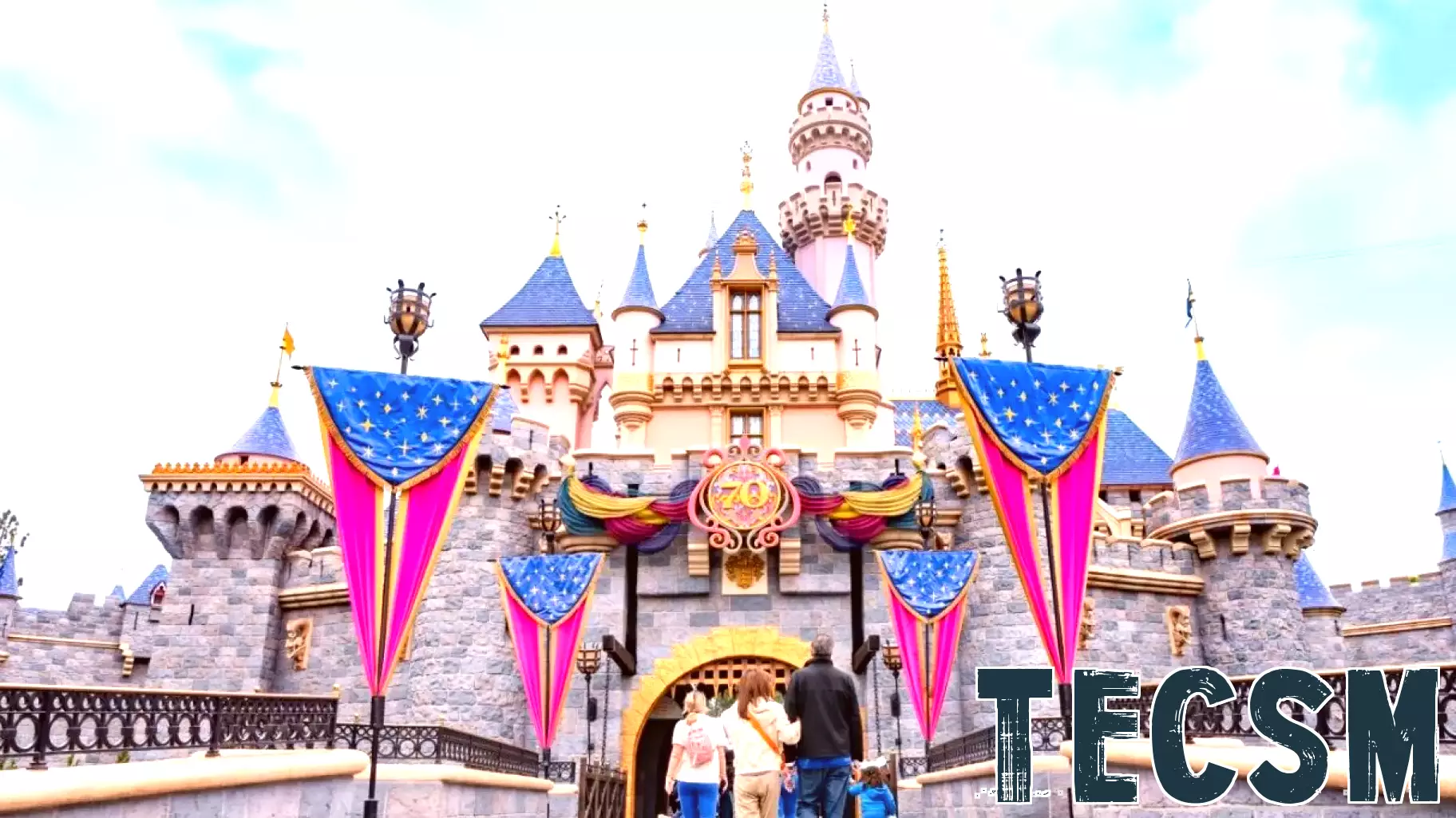 Disneyland Offers Guests the Choice to Bypass Facial Recognition at Park Gates
