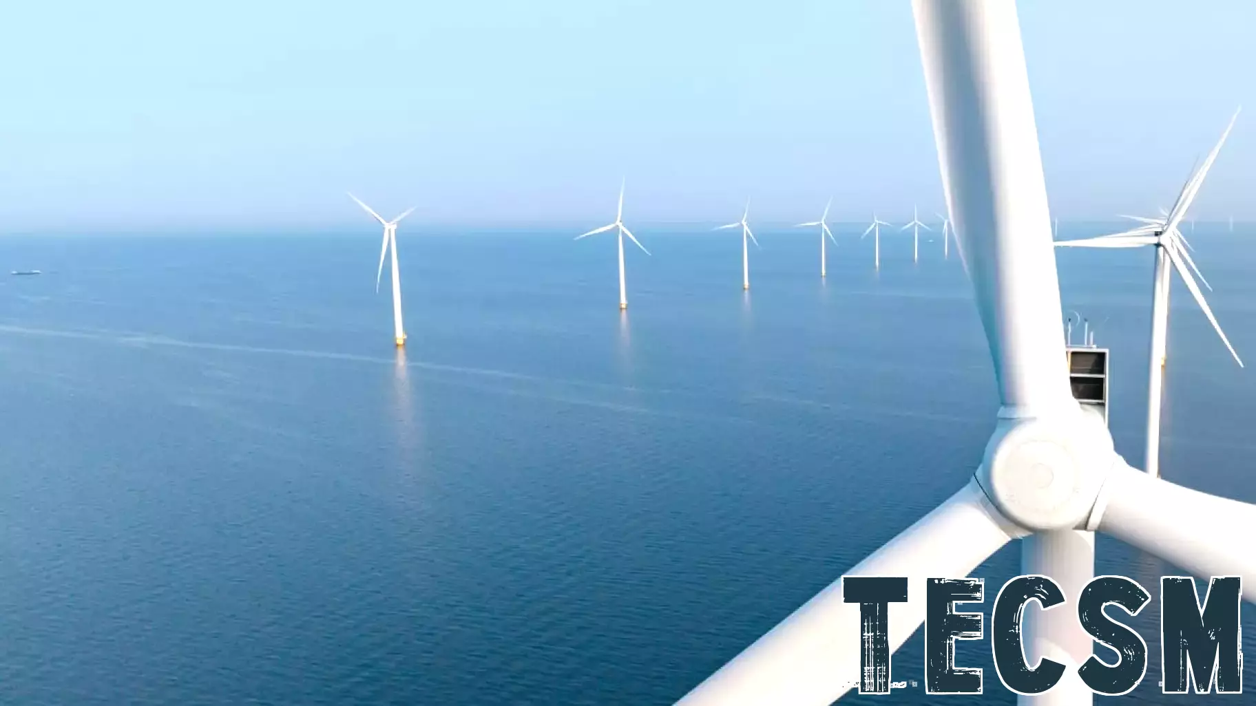 'Going blue': Israel invests in marine-related renewable energies with Innovation Authority fund