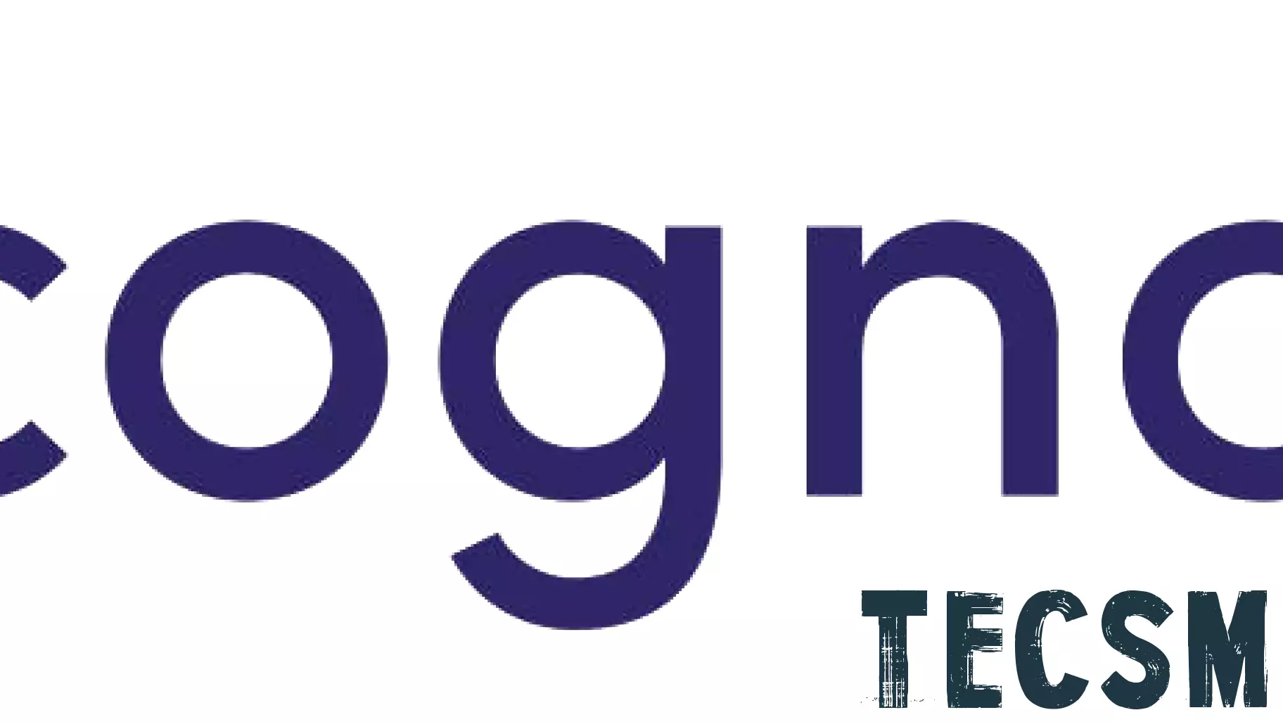 Michael Finnegan Joins Cognosos as New Chief Technology Officer
