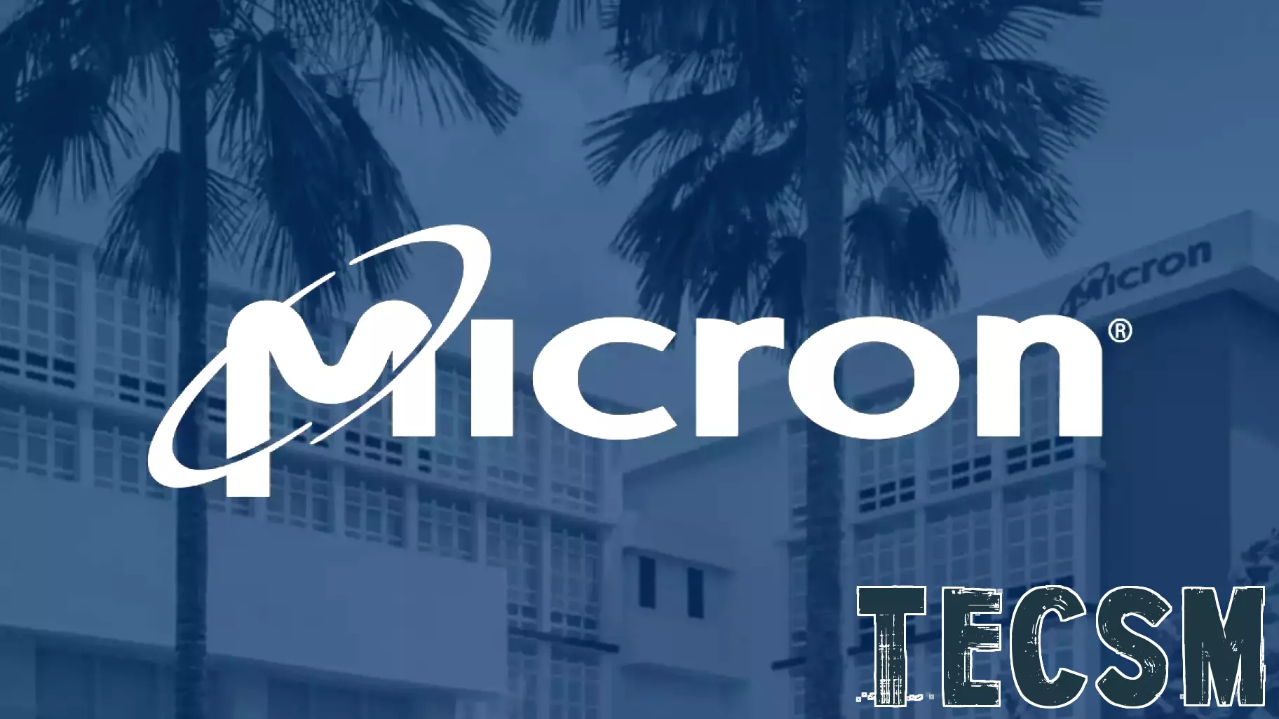 Micron Technology Just Bounced 10% Off Its Lows. History Reveals What a $5,000 Investment Will Be Worth by Mid-2027.