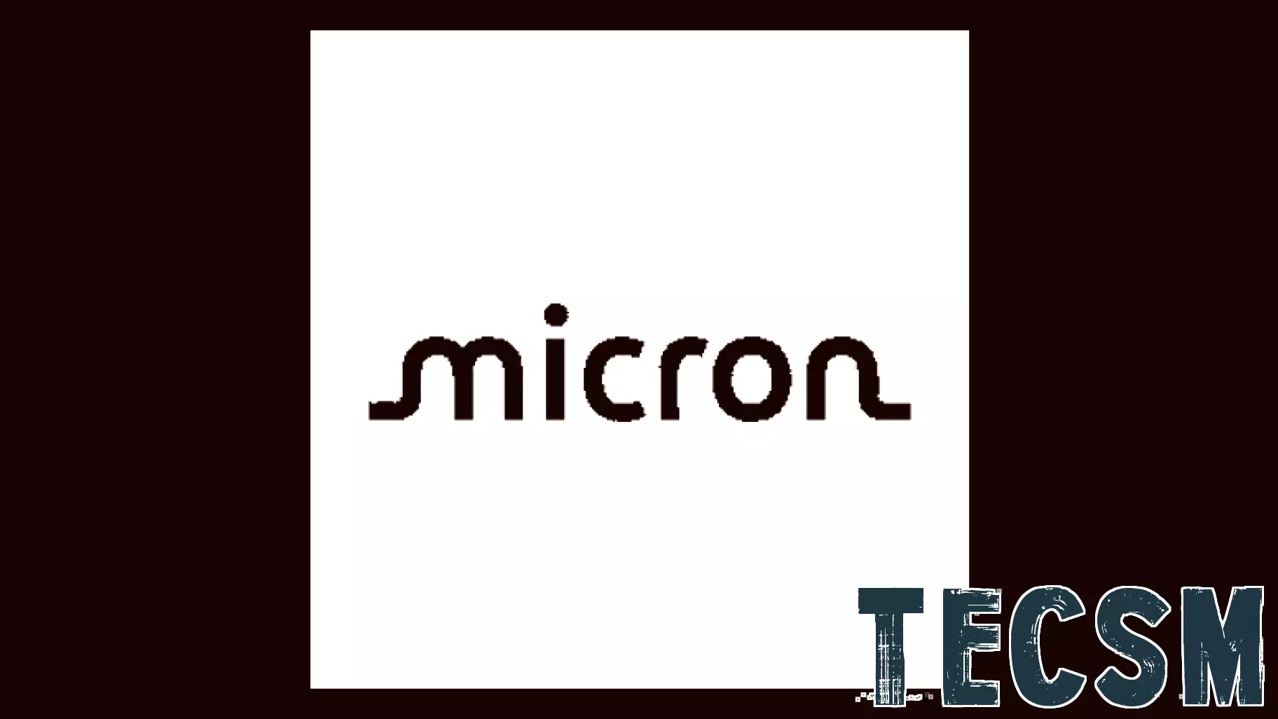 Micron Technology Stock (MU) Opinions on Trump's Rally Endorsement