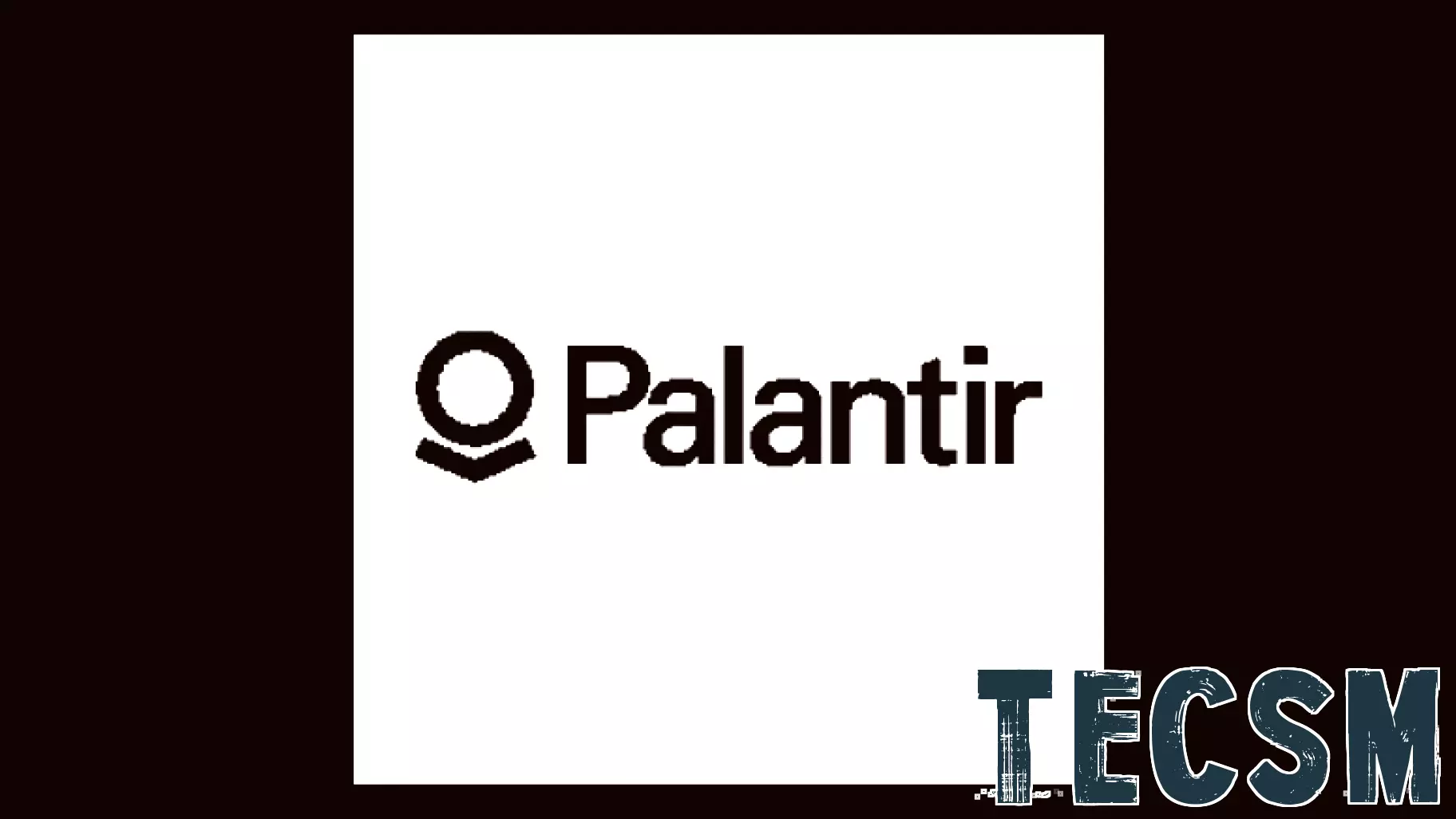 Palantir Technologies Stock (PLTR) Opinions on surveillance technology deployment