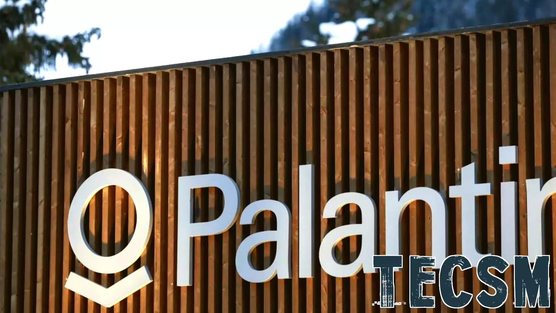 Palantir's Corporate Ideology Draws Scrutiny Amid Government Contracts