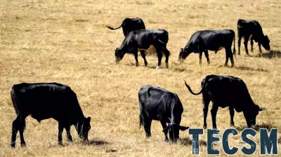 £45 Million Investment for Innovative Farming Technologies