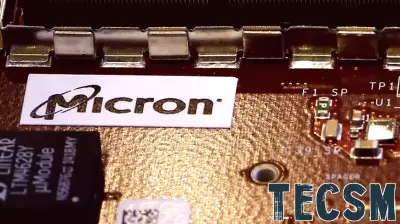 Analyzing the Recent Decline in Micron Technology's Stock