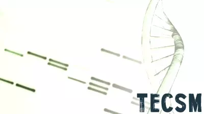 Breakthrough DNA Mapping Technology Reveals Insights into Rare Genetic Diseases