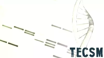 Breakthroughs in DNA Storage with Epi-Bit Technology