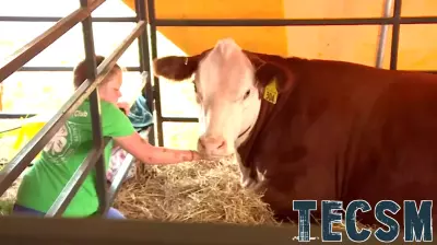 Celebrating 72 Years of Agricultural Innovation at Wisconsin Farm Technology Days