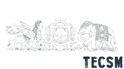 CSIR-SERC Chennai Unveils Innovative Head-T Anchor System to Streamline Construction