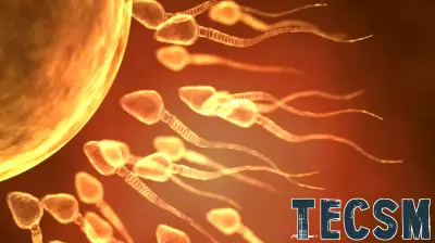 Enhancing Sperm Viability in IVF Through Innovative Glycan Technology