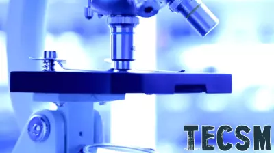 Innovative Funding Boosts AI Technology for Cell Tracking in Disease Treatment