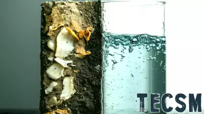 Innovative Water-Harvesting Technology Transforms Kitchen Waste into Valuable Resource