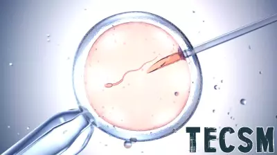 Report of gene-edited human embryos sparks worries about the technology’s future uses